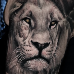 Lion Tattoo Design Thumbnail